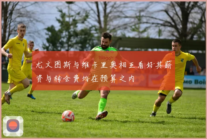 尤文图斯与维卡里奥相互看好其薪资与转会费均在预算之内