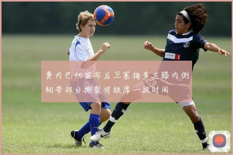 费内巴切宣布后卫塞梅多左膝内侧韧带部分撕裂将缺席一段时间