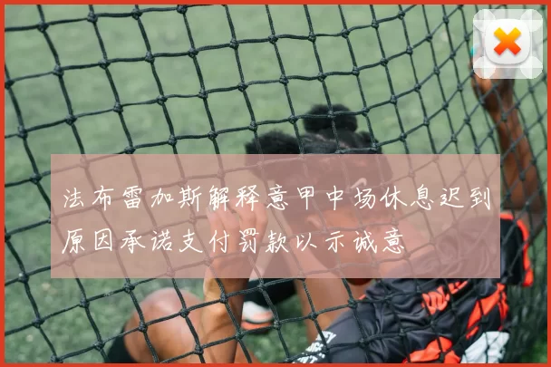 法布雷加斯解释意甲中场休息迟到原因承诺支付罚款以示诚意